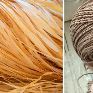 رافیا چیست؟ بررسی الیاف رافیا، ویژگی‌ها و کاربرد آن در تولید کیف